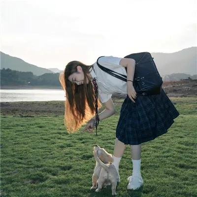 胡同猫
